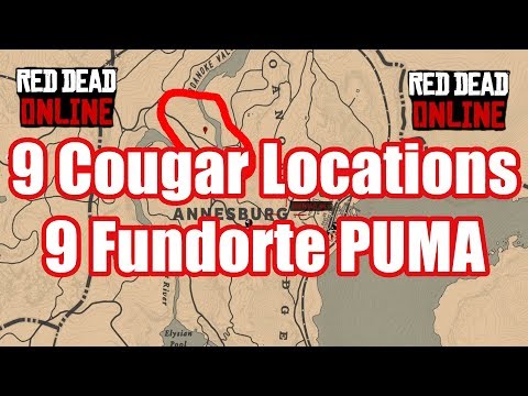 puma rdr2 online