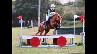 20 August 2020 Tumpy Green ODE 70cm - XC phase vid 1