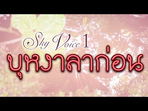 บุหงาลาก่อน - SKY VOICE [ Official Audio ]