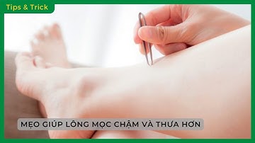 Mẹo GIÚP LÔNG MỌC CHẬM, THƯA HƠN HIỆU QUẢ ngay tại nhà - Bách hoá XANH
