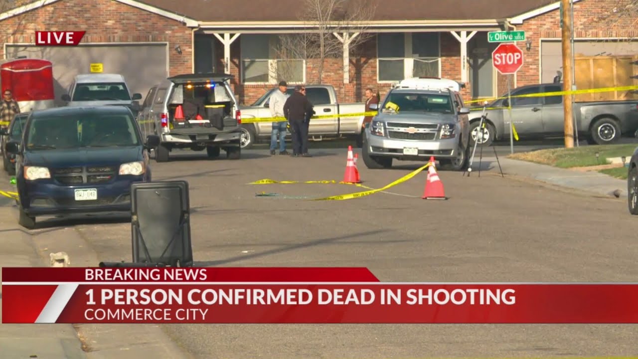1 dead, 2 injured in shooting at large house party - YouTube