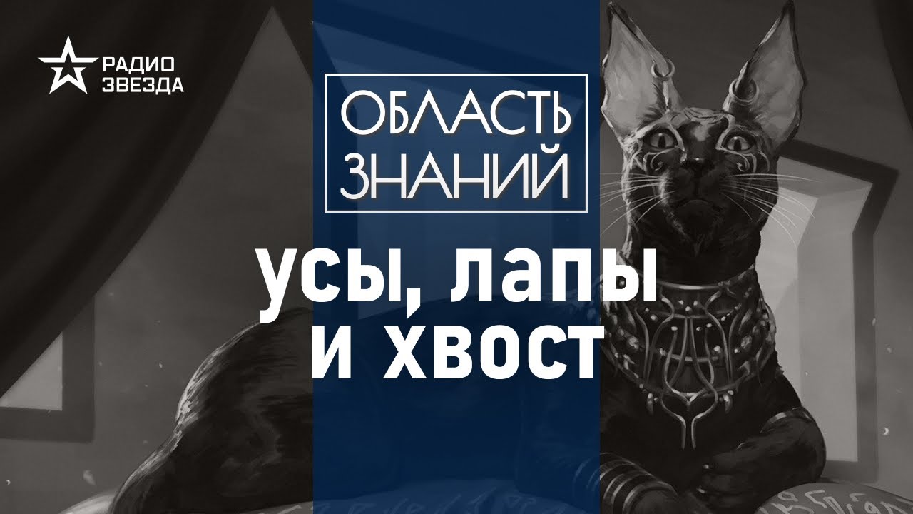 Почему древние египтяне поклонялись кошкам? лекция египтолога Виктора ...