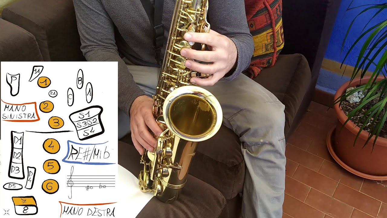 4 - Piccole nozioni di sax - 2° serie di note (da Fa# a Re)