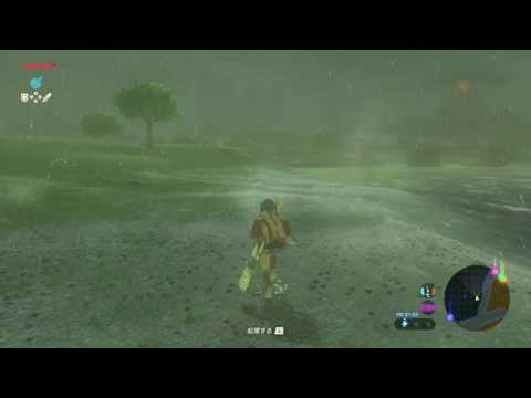 【ブレワイ(BotW)】雷マヂこゎぃ【ドリカラ】