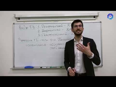 Государственный бюджет - виды, структура, статьи. ЕГЭ по обществознанию. Алихан Динаев