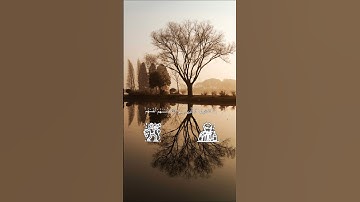 "ولا تكونوا كالذين نسوا الله فأنساهم أنفسهم أولئك هم الفاسقون"وقارئك المفضل هنا هو ياسر الدوسري