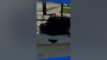 Reolink Fisheye cam review