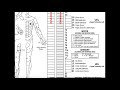 Classifying spinal cord injuries using asia scoring explanation  example 1
