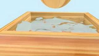 Anim8or 0.97c / Terranim8or - Teste Reflexo
