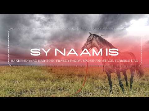 Sy Naam Is – A Tribute to Paulen Alaart (Official Music Video)