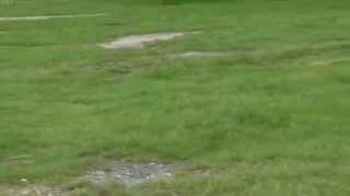 05 23 2014 141324