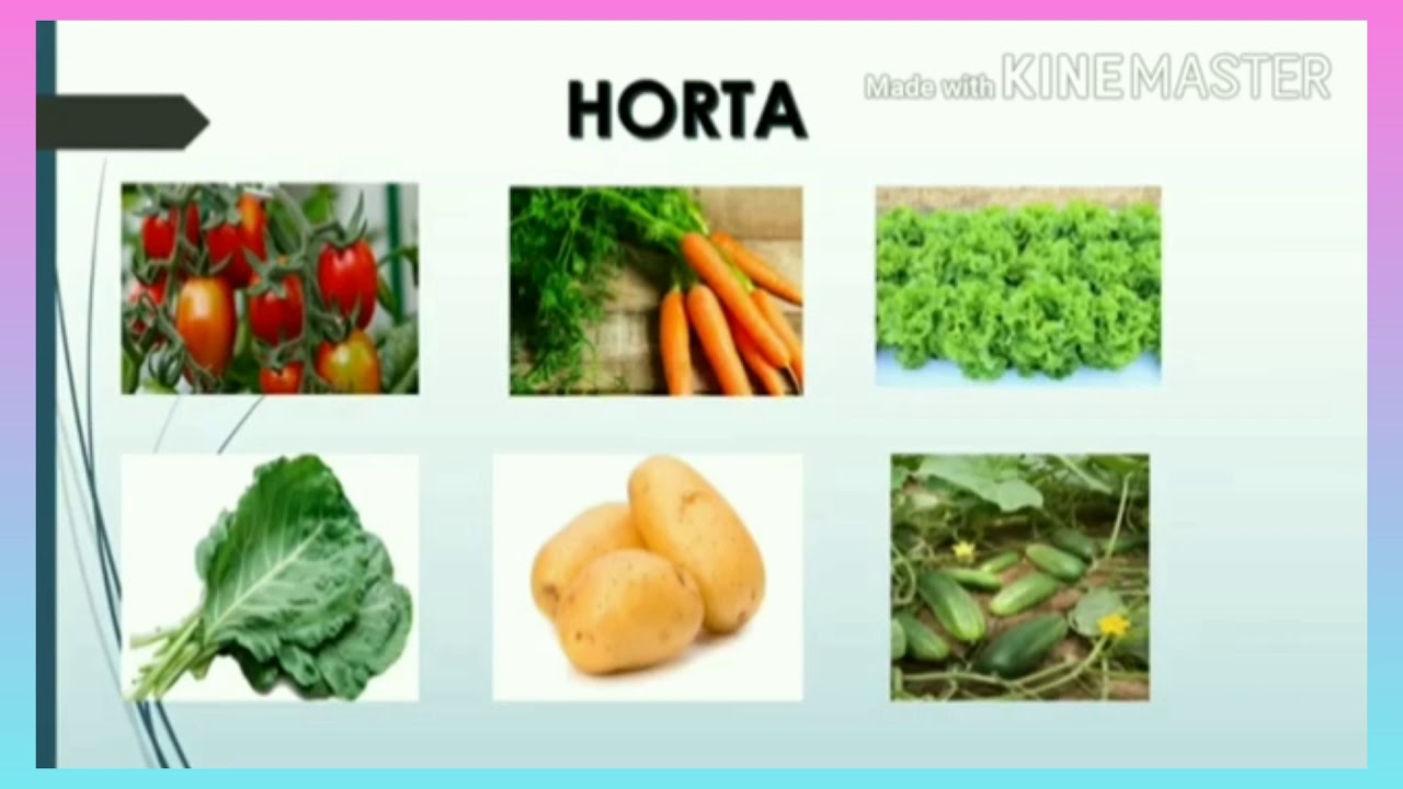 Vídeo aula: Jardim, horta e pomar - YouTube