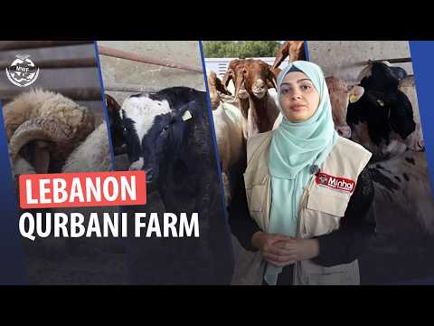 Qurbani in Lebanon | Supporting Palestinian & Syrian Refugees in Crisis