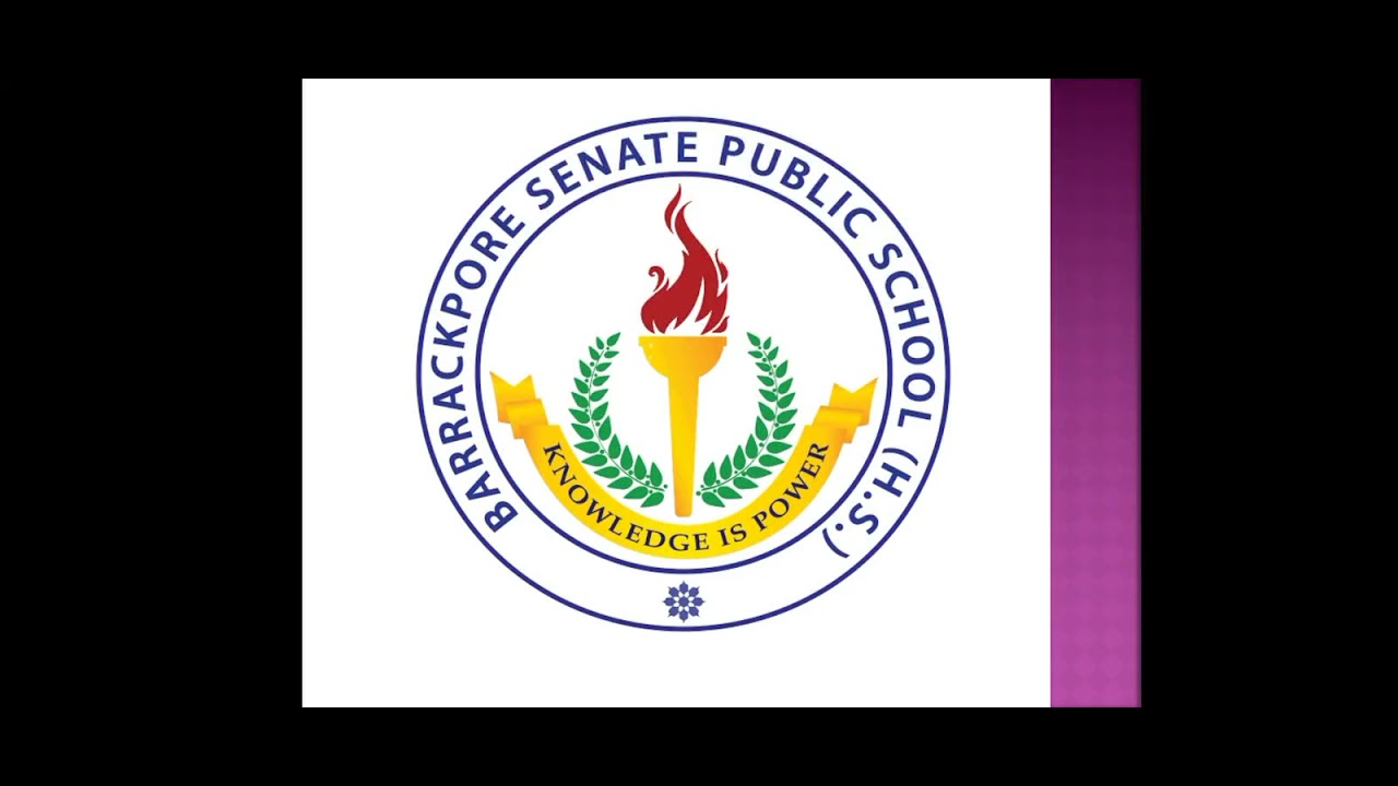 CLASS1, LESSON2,THE SALAD BOWL YouTube