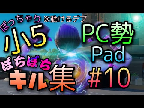 【ただ君に晴れ】 小5 PC勢【フォートナイト 】【キル集】 毎日日記パート10