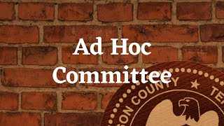 Wilson County Ad Hoc Committee August 2023