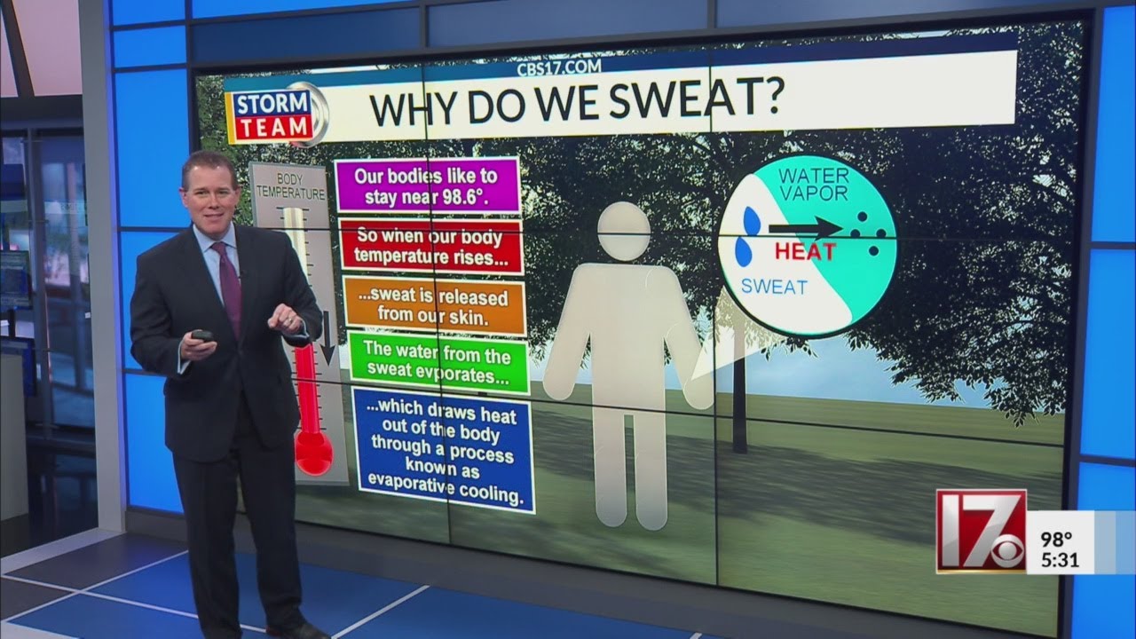 All you need to know about heatwave warnings