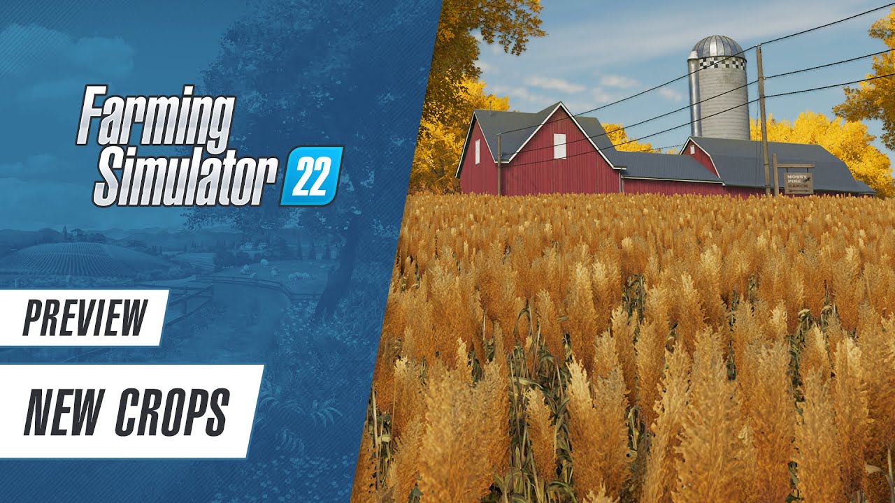 Farming Simulator 22: lida do campo baseada em metaverso desafia os gamers  a cuidar de uma lavoura - Forbes