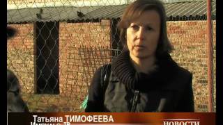 Великолукский центр милосердия для животных, 06/10/09. Великолукский центр милосердия для животных, 06/10/09.