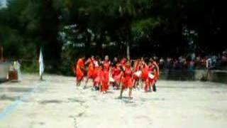 bscs in action