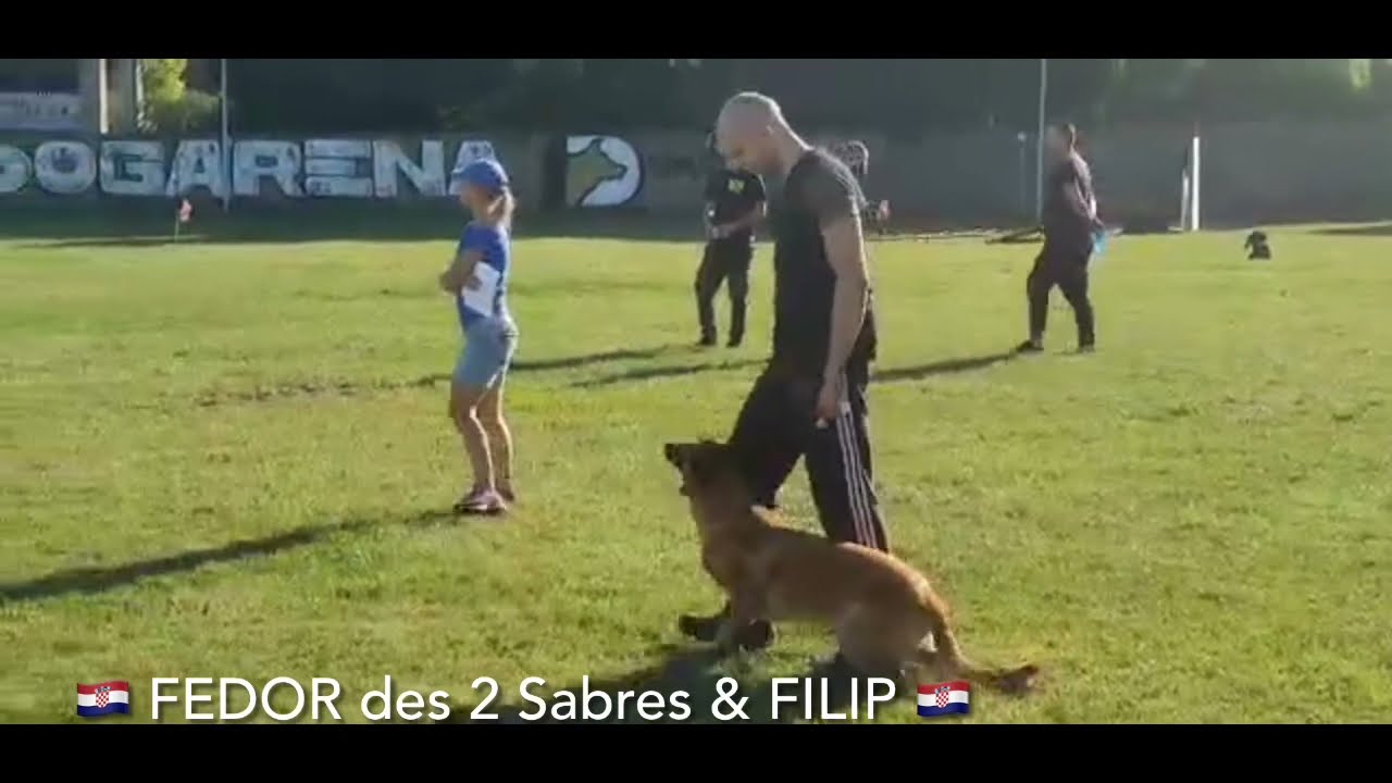 Parcours complet mondioring 1 de FEDOR DES 2 Sabres et Filip - 2021