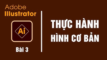 Hướng dẫn sử dụng Illustrator cho người mới bắt dầu | bài 3