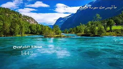 ماتيسر من سورة مريم.. تلاوة مختارة لأبي خالد
