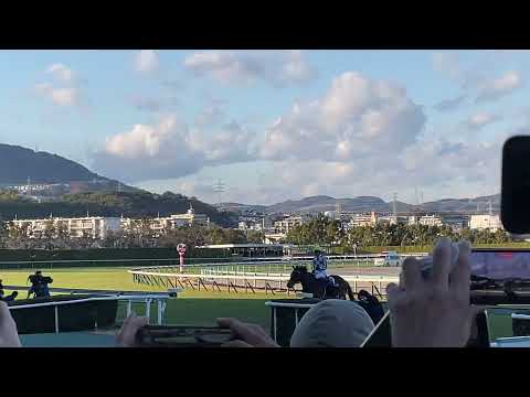 ２０２１年　治安の悪い朝日杯FS レース後