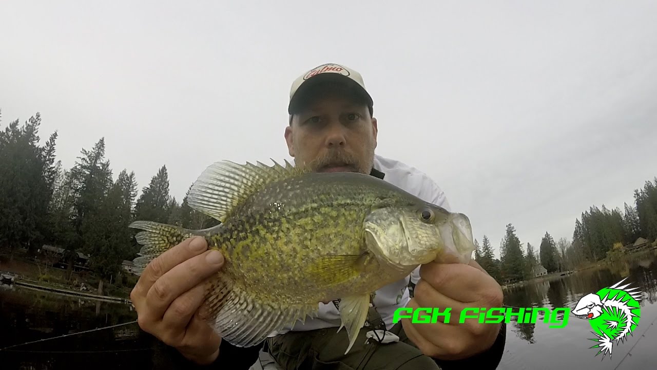 Whitman Lake Fall Crappie Fishing fun Washington YouTube