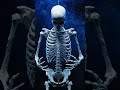 What will happen if a person does not eat anything for 7 days? #short #humanbeing
