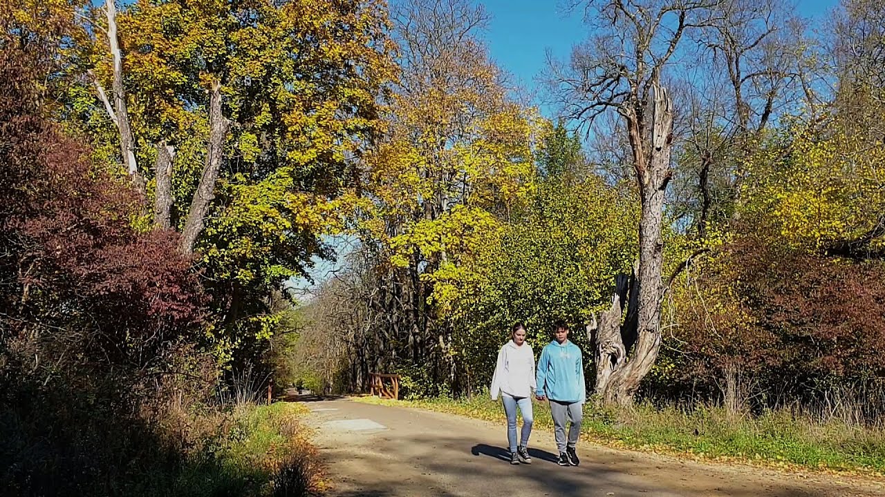 Silent Whispers – Omar Akram. /Relaxing, emotional music/ Őszi csend az Ilona völgyben Parádfürdőn.