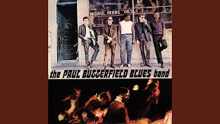 Video thumbnail of "Paul Butterfield - Thank You Mr. Poobah"