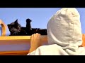 黒猫と遊びたい変人。