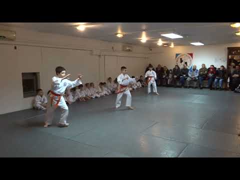 Klub realnog aikidoa i ju-jutsu Novi Sad Polaganje Februar 2023 I i II grupa dece 14/15