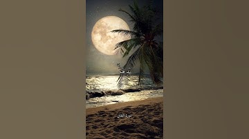 مَا أَصَابَ مِن مُّصِيبَةٍ إِلَّا بِإِذْنِ اللَّهِ    سورة التغابن    علي جابر