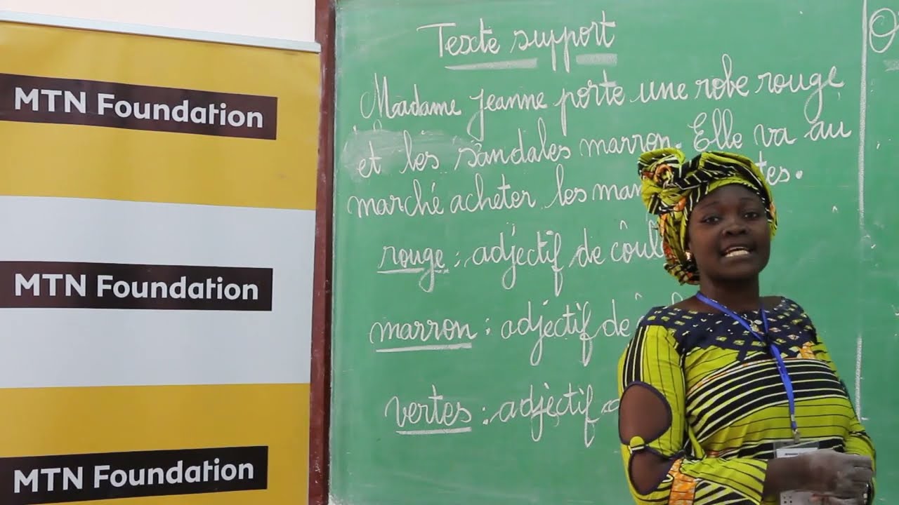 Cours de Français - Orthographe Grammaticale. Le pluriel des adjectifs de couleur. Niveau 3