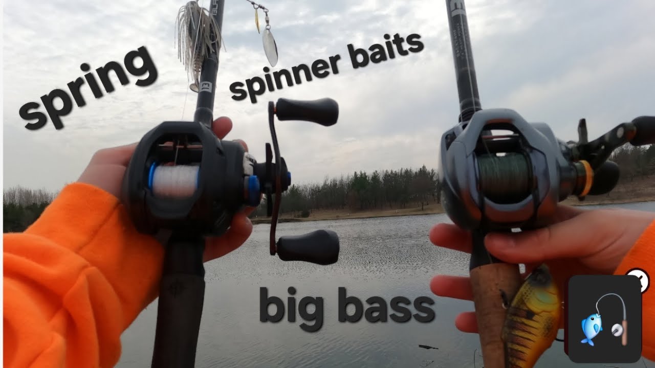 Catching big spring bass on spinner baits