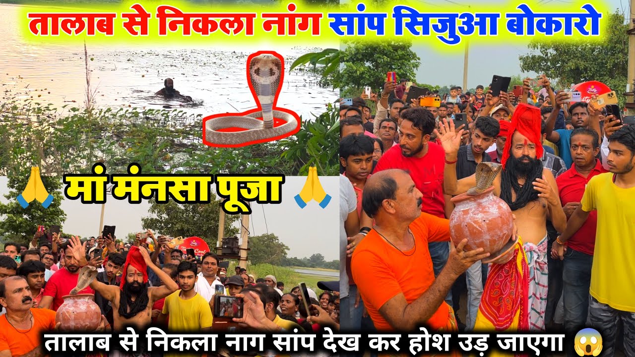 तालाब से निकल नॉग साप माँ मंनसा पूजा बोकारो | Maa Manasa Puja Sijua Bokaro 2024 |Bokaro Manasa Puja