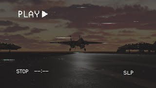DCS World: F14 -"Forever Young"