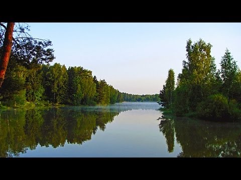 Видео: Дача 10 (рассвет в лесу и птицы)