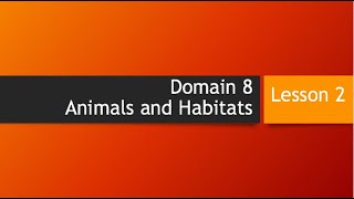 Domain 8 Lesson 2