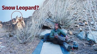 Searching for Snow Leopards in Zanskar
