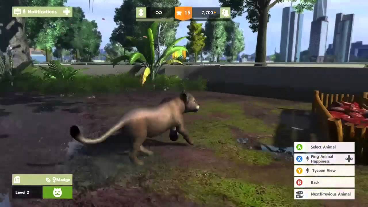 Zoo Tycoon 3: Asiatic Lion 