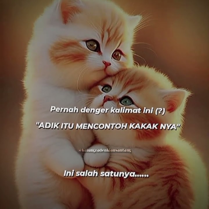 Ketika kakak jadi contoh untuk adik nya 😂 #kembalinyaradenkiansantang #alwiassegaf #ridhodekantara