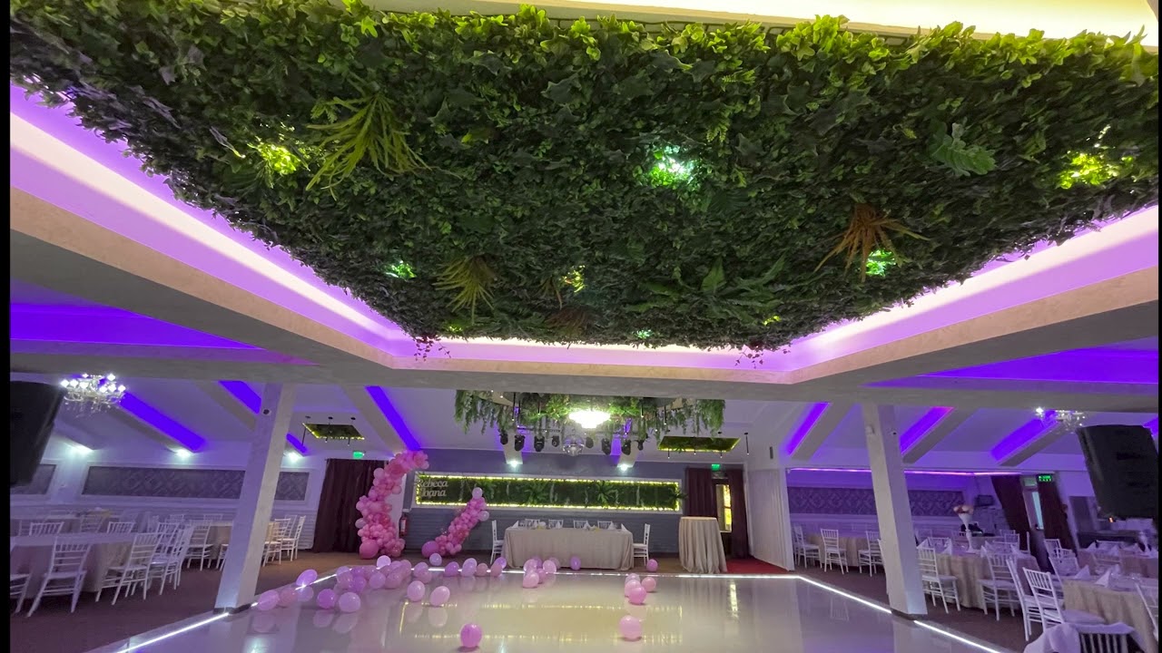 Rustic Events Chirnogi - Costel Pastea & Formatia Vali Banateanu