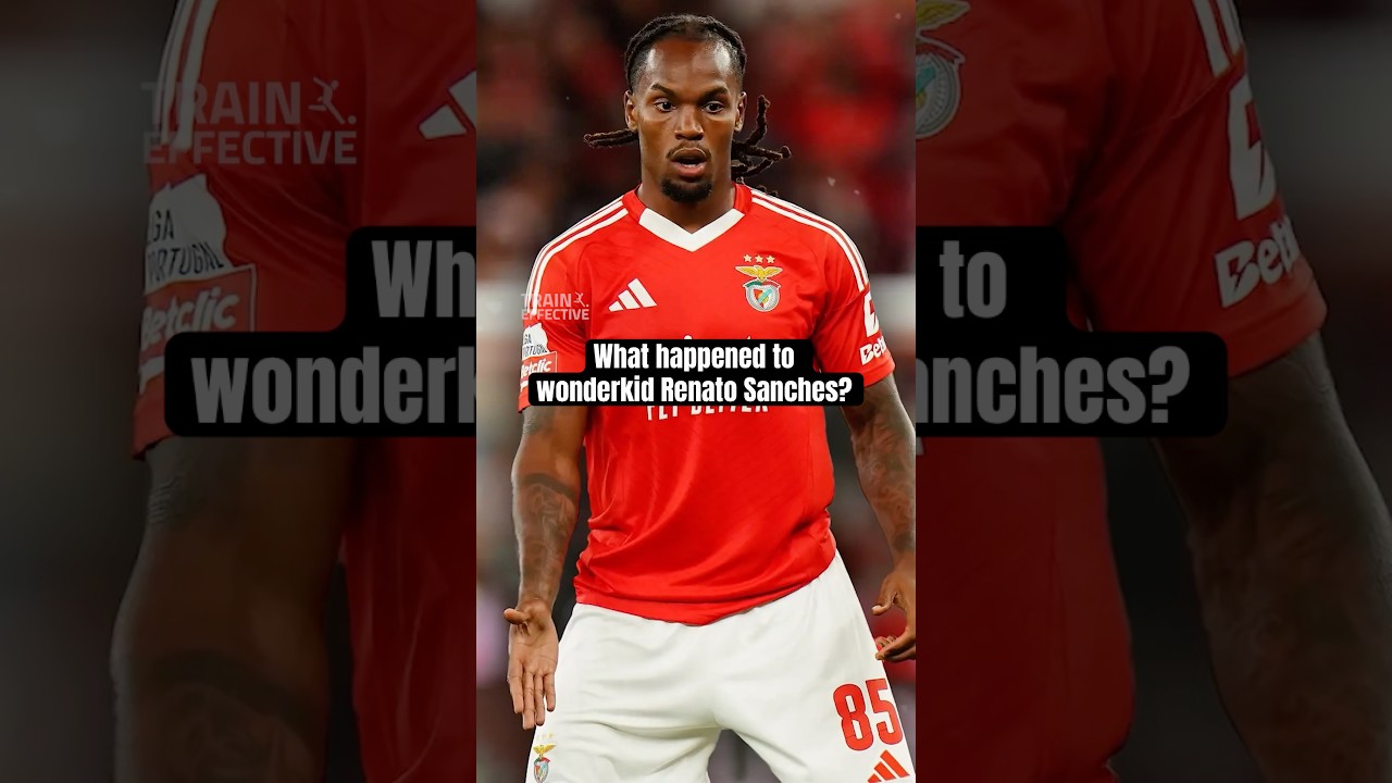 What Happened To Wonderkid Renato Sanches? 