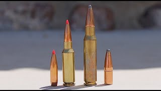 6.5 Grendel vs 308 Winchester: Everything You Need To Know