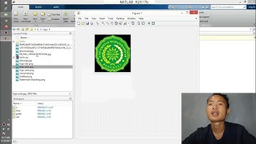 Membaca file citra dan menampilkannya di aplikasi MATLAB R2017b