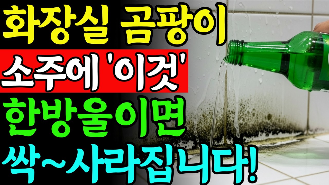소주+이것 하나면 끝! 락스보다 강력한 화장실 곰팡이 제거법! 제일 쉬운 방법 공개!!