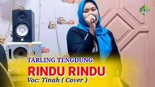Tarling Tengdung || RINDU RINDU - TINAH COVER 2024
